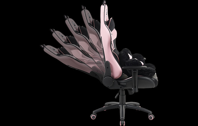 Z590