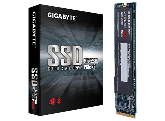 ssd-gigabyte-256-12021-01