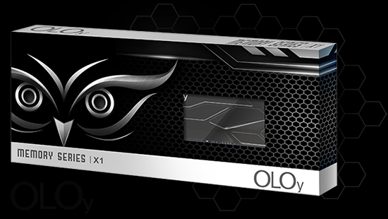 Memória DDR4 OLOy Owl Black, 8GB, 3000MHZ, MD4U083016BJSA