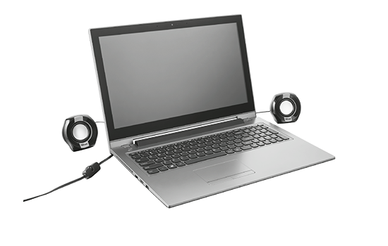Speaker
