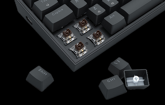 Z590