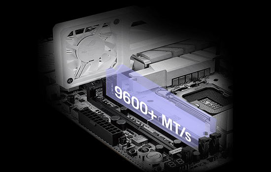 Z590