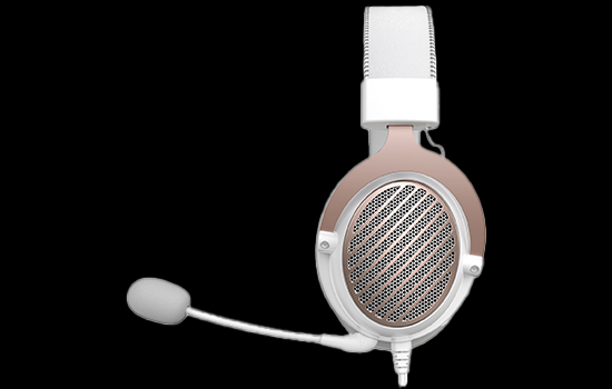 Z590