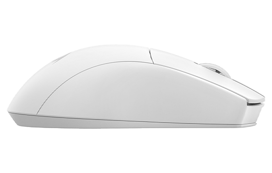 Z590