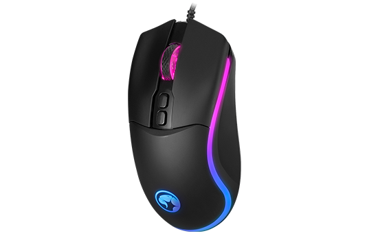 Z590