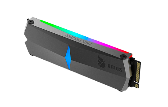 HS-SSD-E2000-256G-3