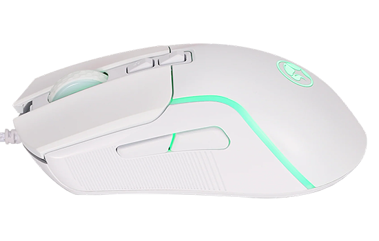 Z590