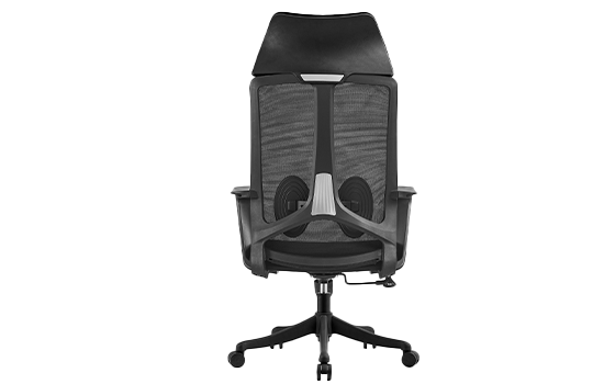 Z590