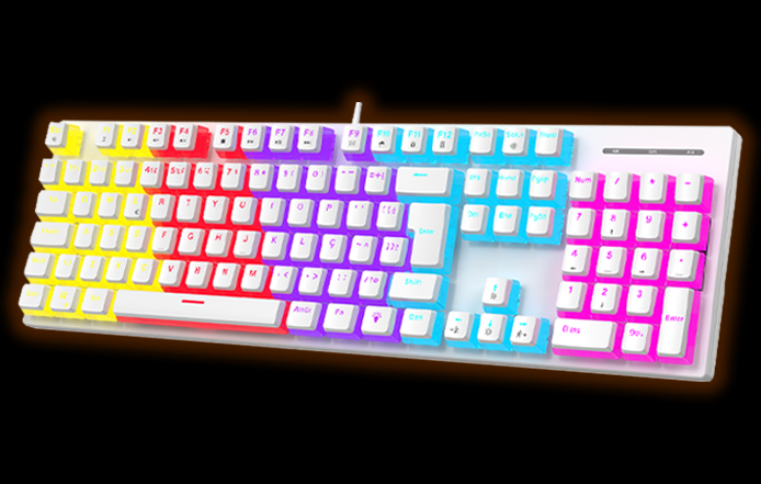 Z590