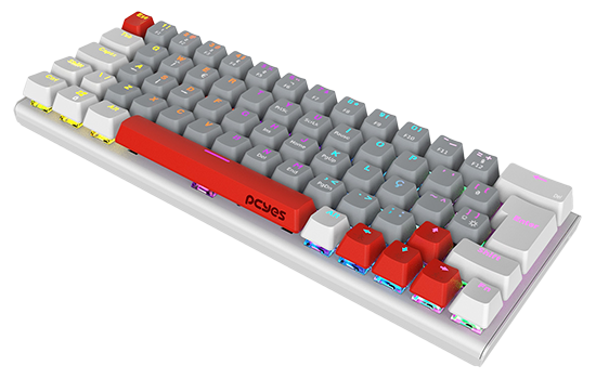 Z590