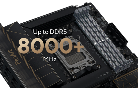 Z590