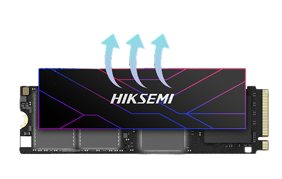 Hiksemi Future Pro 1TB