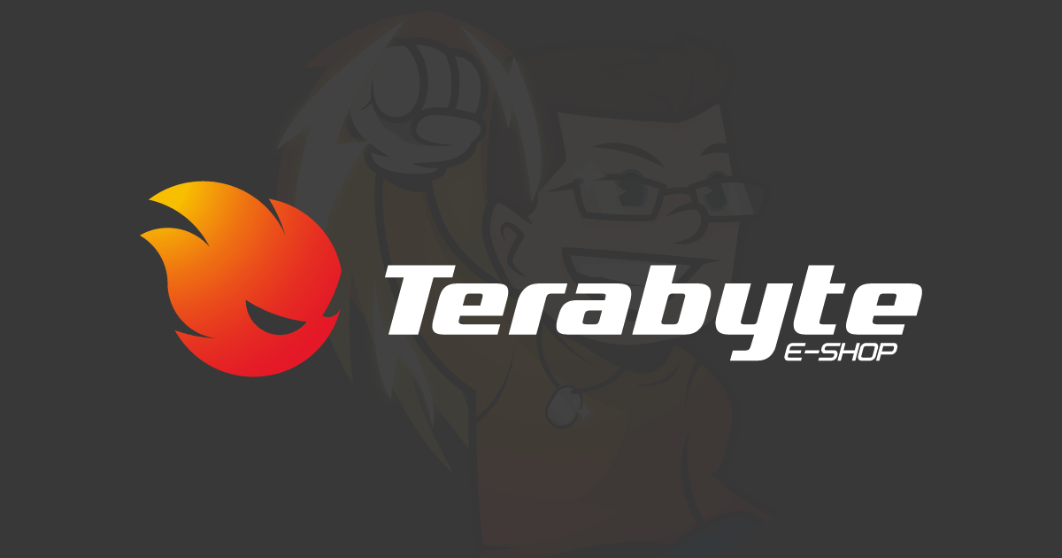 Quem somos - TERABYTE