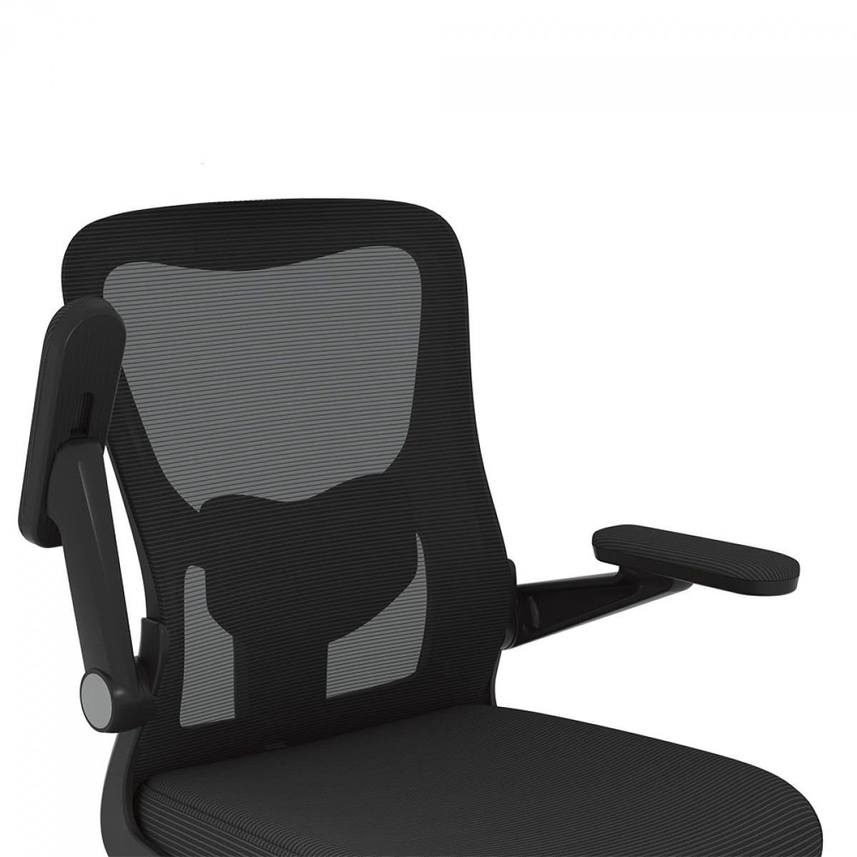 Cadeira de Escritório FlexiSpot OCB1-Lite, Ajustável, 3D, Mesh, Preta