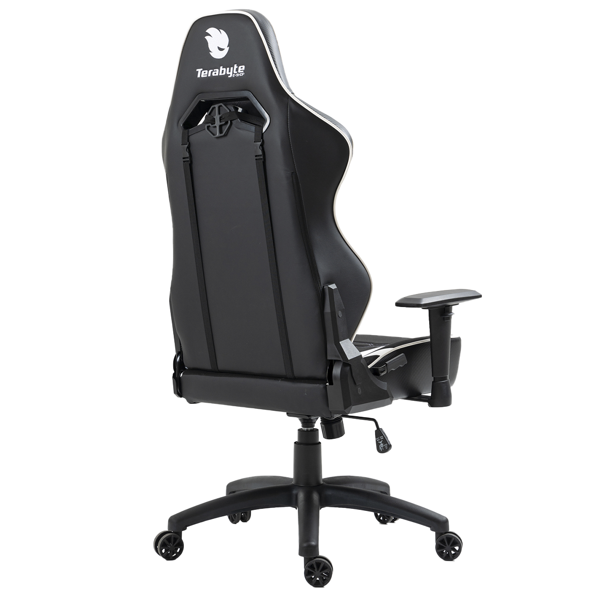Cadeira Gamer Terabyte Vision, Reclinável, 2D, Preto e Branco