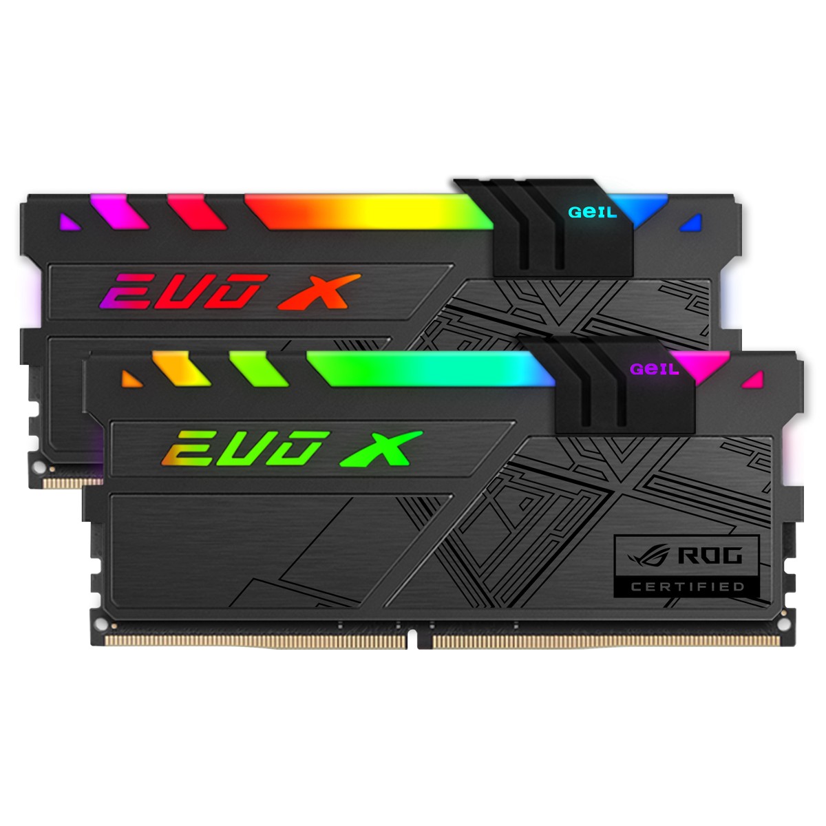 Memória DDR4 Geil EVO X II RGB, 16GB (2x8GB) 3600MHz, ROG CERTIFIED, Black, GREXSR416GB3600C18ADC