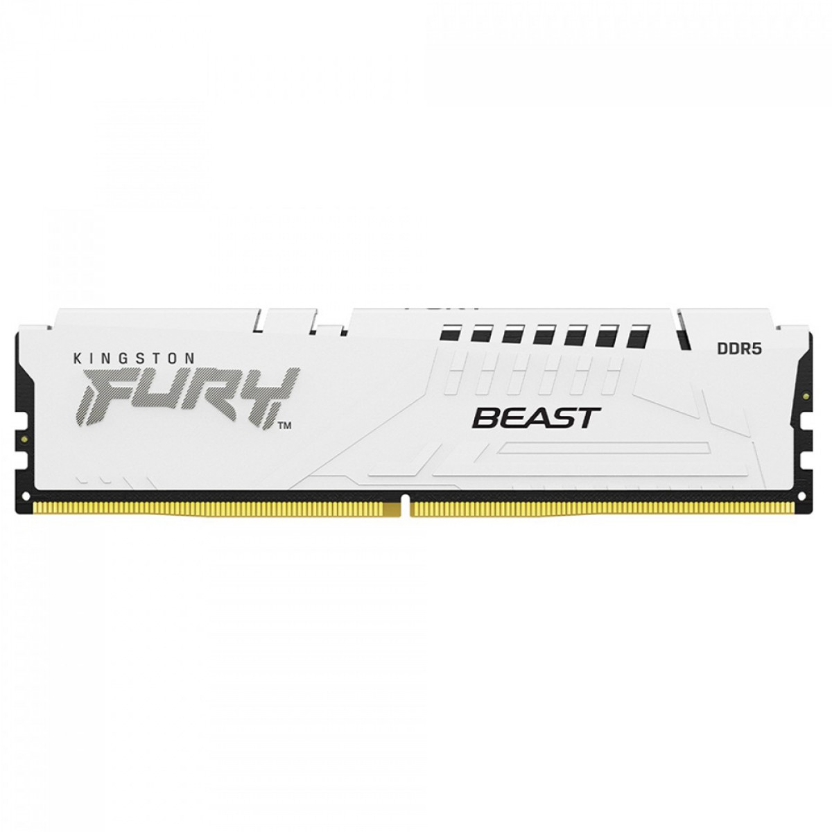 Memória DDR5 Kingston Fury Beast 16GB 5600MHz | Terabyte