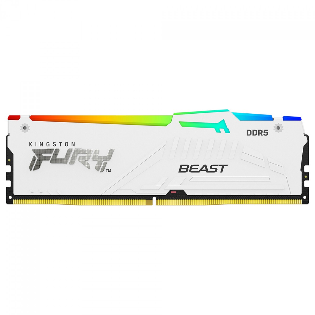 Memória DDR5 Kingston Fury Beast RGB 16GB 5600MHz | Terabyte