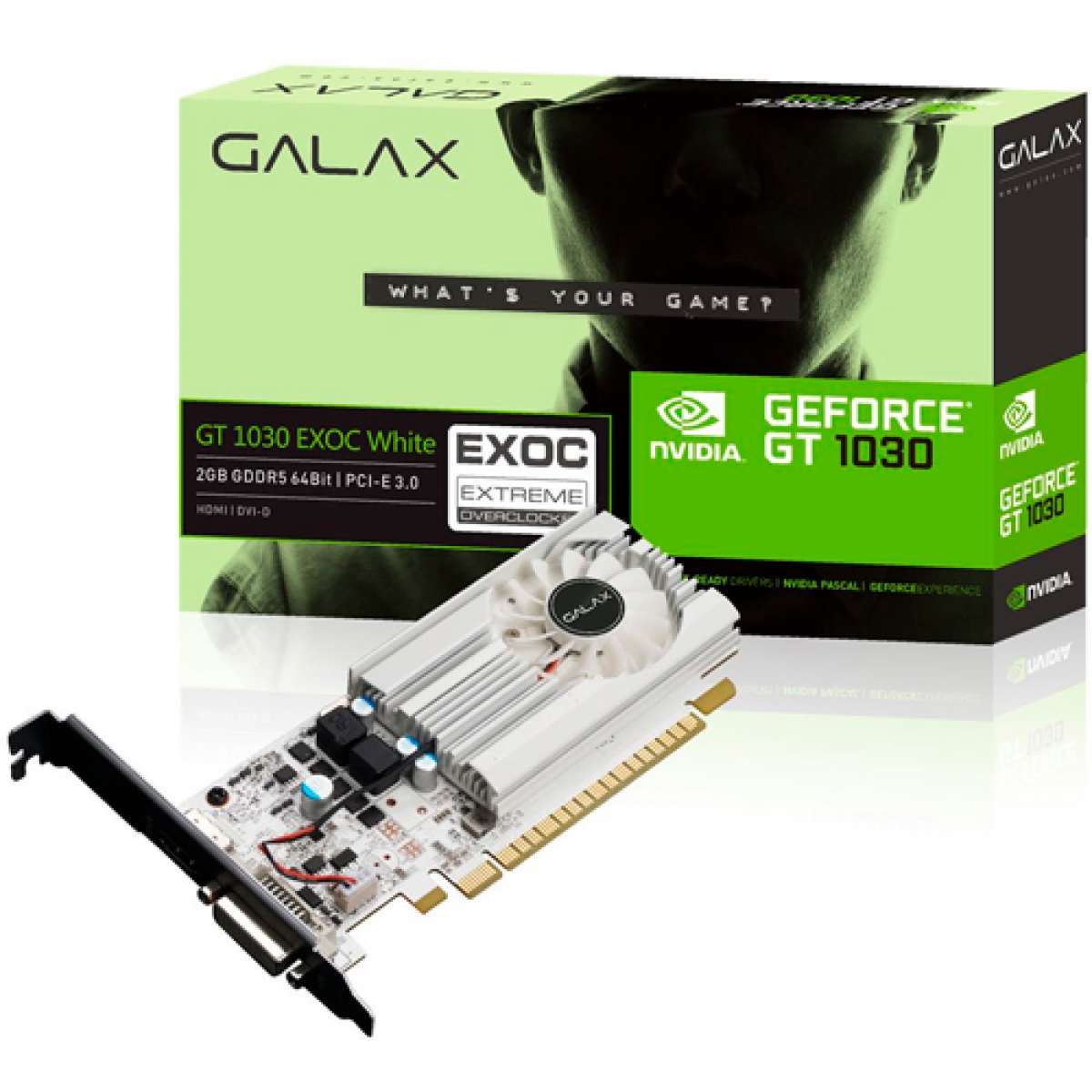 Placa de Vídeo Galax GeForce GT 1030 EXOC WHITE 2GB 30NPH4HVQ5EW GDDR5 PCI-EXP