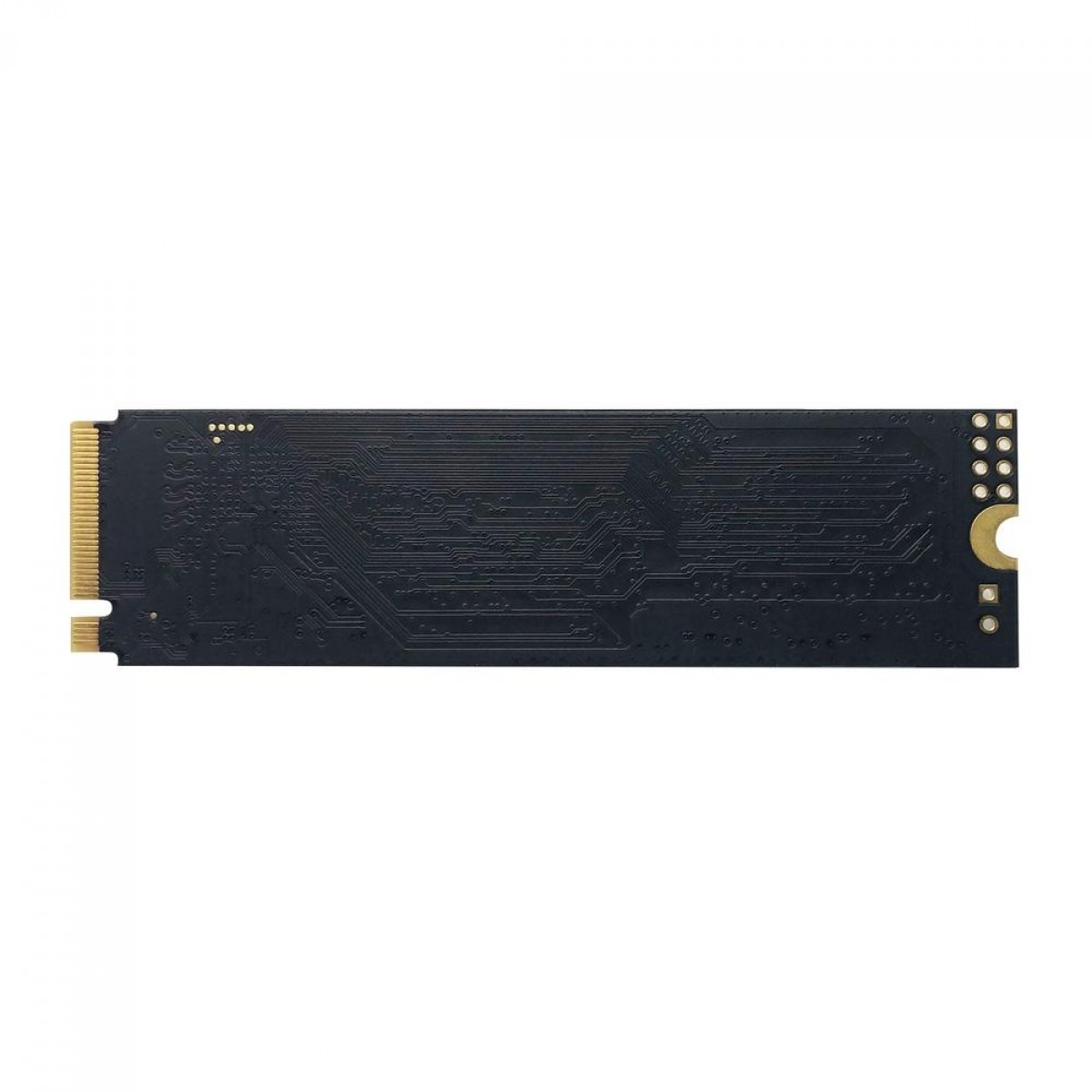 SSD Patriot P300, 512GB, M.2 2280 NVME, Leitura 1700MBs e Gravação 1100MBs, P300P512GM28