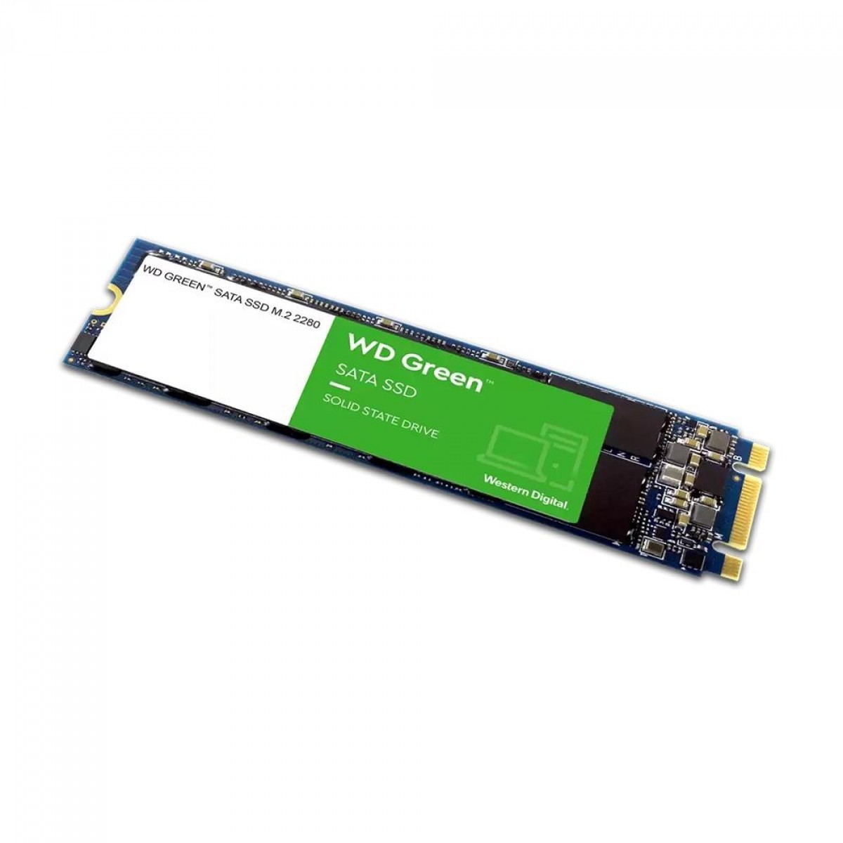 SSD WD Green 480GB, M.2 SATA III, Leitura 545MBs e Gravação 465MBs + Copo WD Green