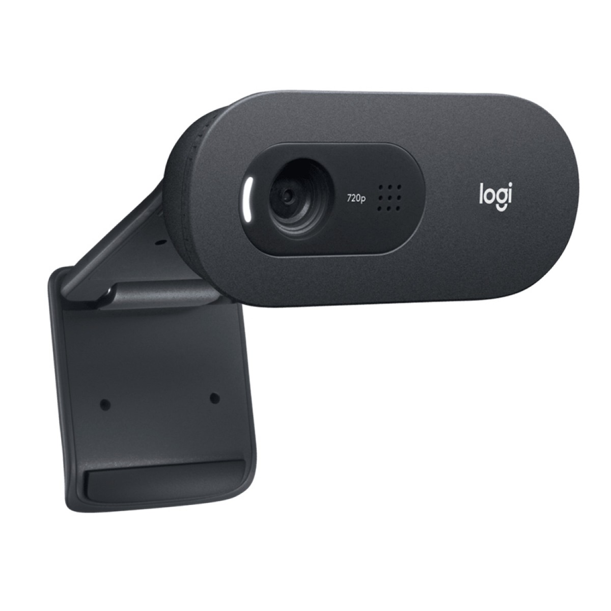 Webcam Logitech C505, HD, 720p, 30 FPS, Microfone, 960-001367