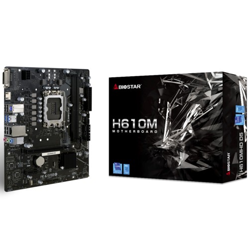 Placa Mãe Biostar H610MHD D5