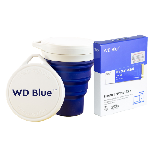 SSD WD Blue SN570 NVMe M.2, 1TB, Leitura 3500MBs e Gravação