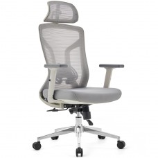 Cadeira de Escritório Dr. Office Ergo Pro, Cinza, Mesh, Altura Ajustável, DR-CH-EPR2DGH