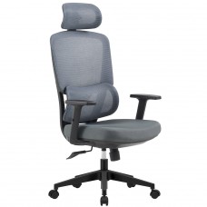 Cadeira de Escritório Dr. Office Work Pro, Ajustável, Mesh, 2D, Reclinável, Cinza, DR-CH-WKPR2DG 