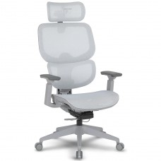 Cadeira De Escritório DT3 Ergonomie 4D, Ajustável, Ergonômica, Mesh, Cinza