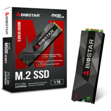 SSD Biostar M500 1TB, M.2 NVME, Leitura 1700MBs e Gravação 1100MBs, SE160PMG3T-BN1BL-BS2