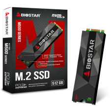 SSD Biostar M500, 512GB, M.2 NVME, Leitura 1700MBs e Gravação 1100MBs, SE160PM535-YN1BK-BS2