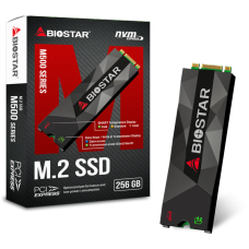 SSD Biostar P300, 256GB, NVME, Leitura 1600MBs e Gravação 900MBs, SE160PM236-YT1B8-BS2